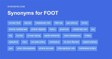 synonyms for feet.